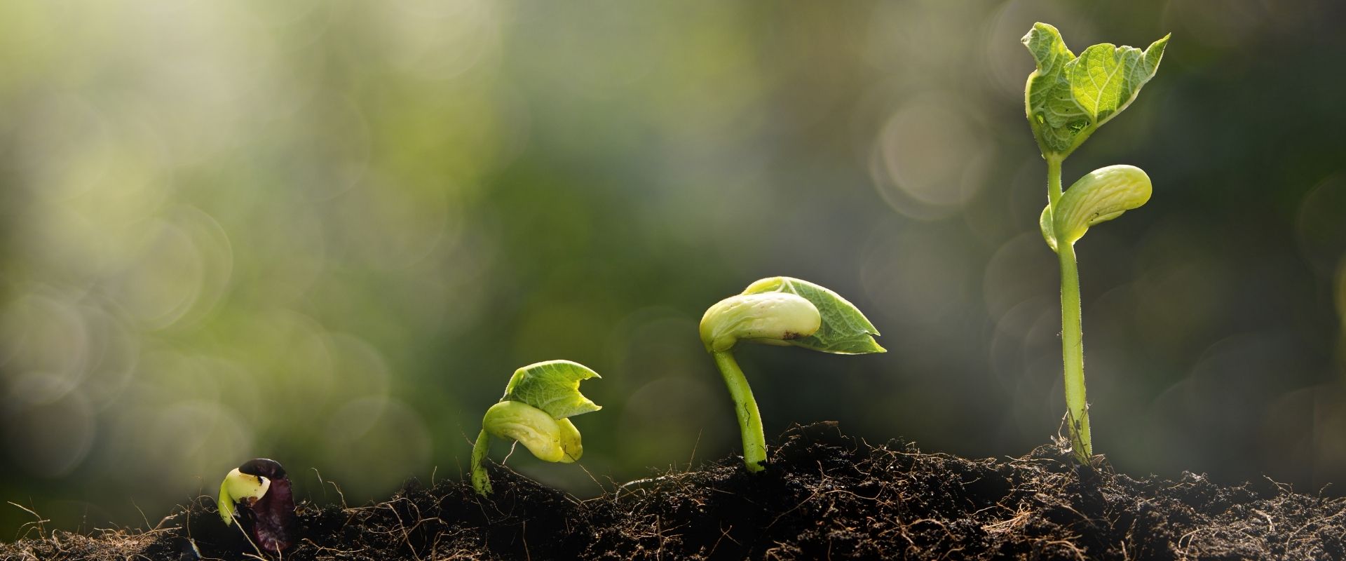 Ulf Beckmann Systemische Beratung Hamburg